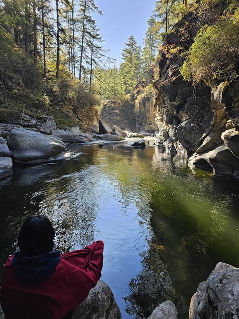       River flowing through a wooded area with rocks.
  