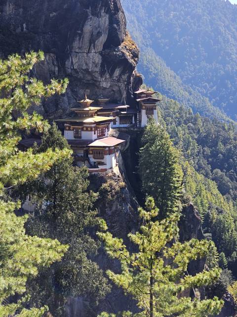       Monastery perched on a steep rock face surrounded by trees.
  