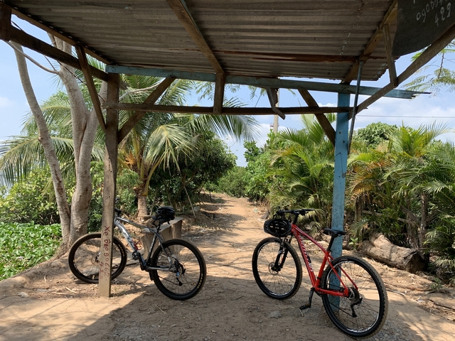       Two bicycles under a shelter by a dirt path surrounded by tropical vegetation.
  