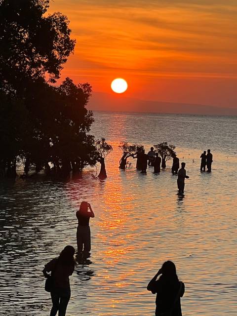 Silhouettes of people in water at sunset.