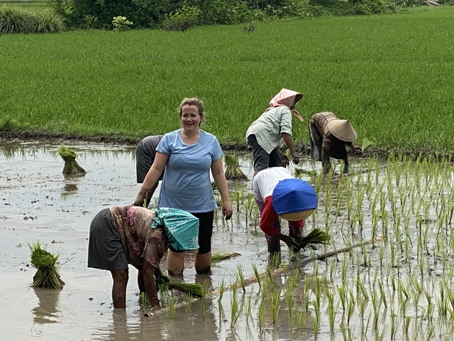       Person assisting locals with planting rice in a field.
  