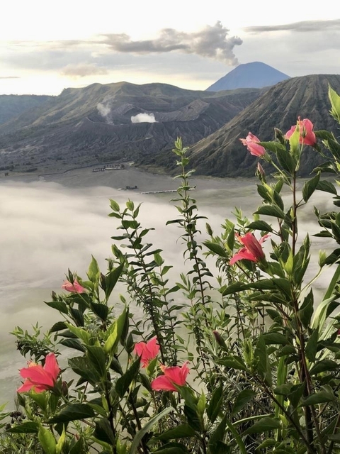       Klantbeoordelingsfoto van Jakarta naar Ubud 
  