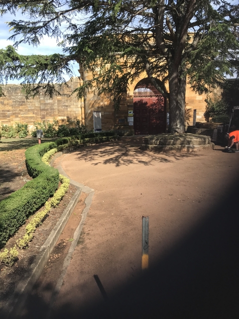 A garden area with a large tree casting shadows.