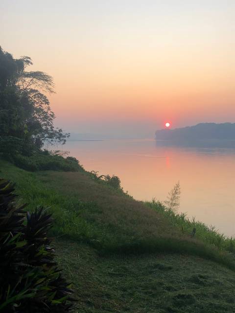       Sunset over a landscape with trees and plants.
  