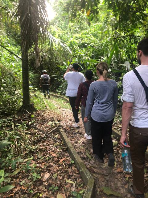       Group of people walking on a trail in a forest.
  