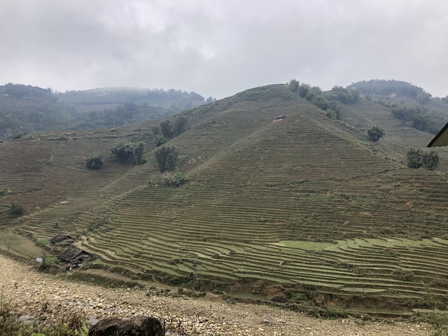 Terraced fields on a steep hill in Sapa.