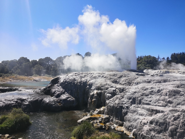       Geyser erupting in a geothermal park.
  