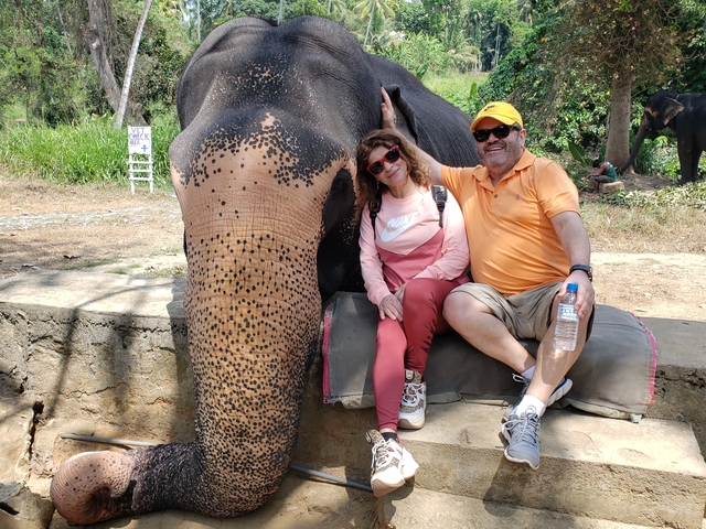       Couple sitting with an elephant.
  