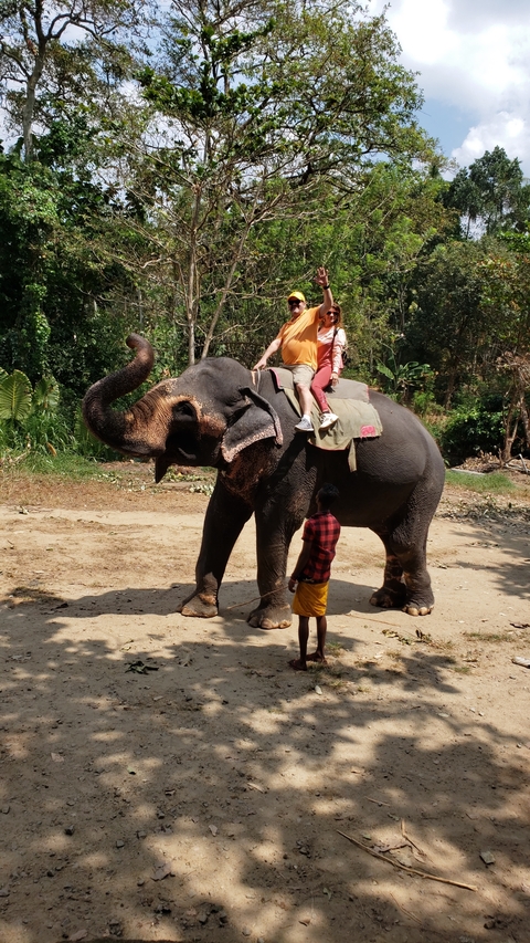       Couple riding an elephant.
  