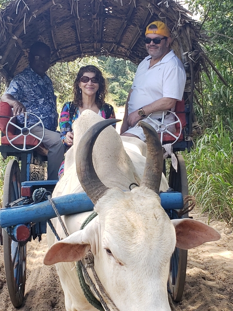       Couple riding an ox cart.
  
