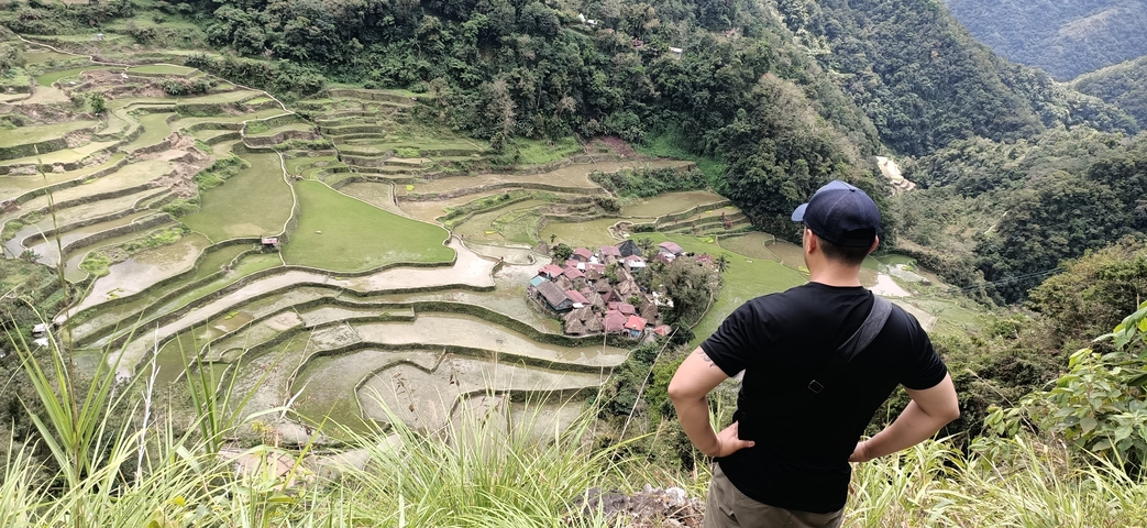 Person overlooking terraced rice fields.