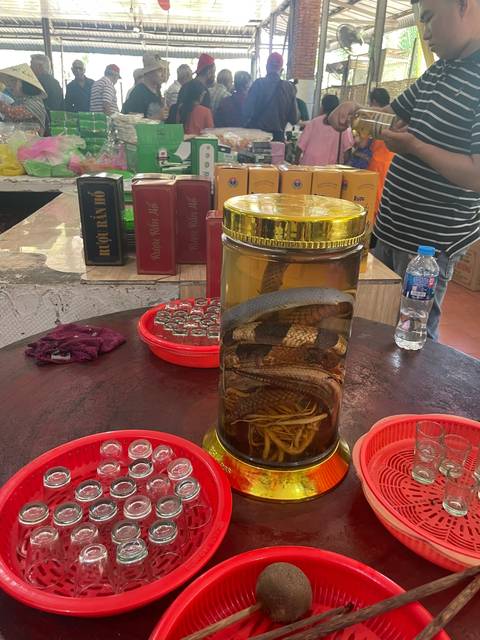 Jar with a snake and roots inside, surrounded by plates of food items.