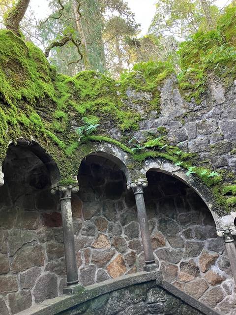 Stone arches covered in moss