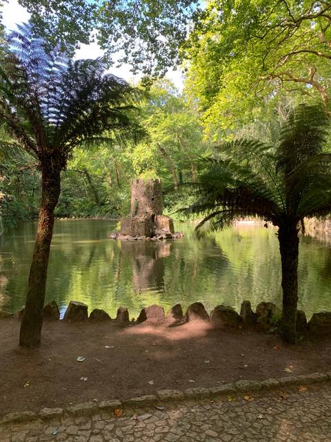       Serene park with a pond and green foliage.
  