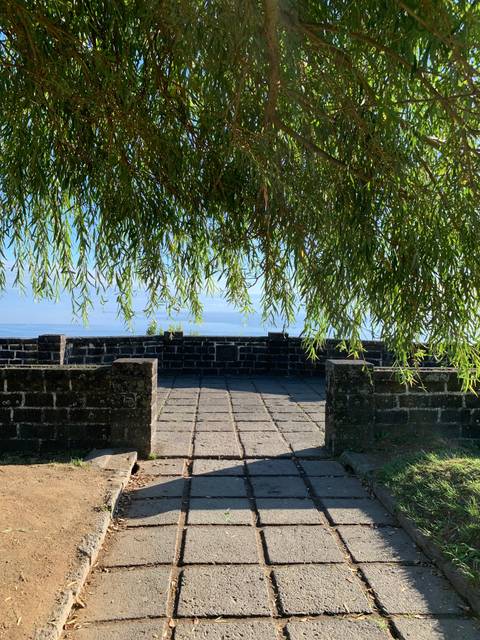       Pathway with trees along a coastal view.
  