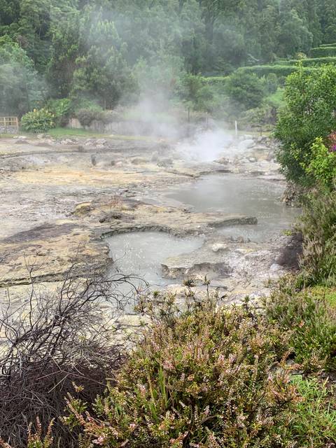 Geothermal hot springs with steam rising.
