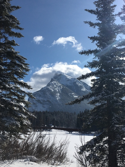       Snow-covered mountain peak seen through trees.
  
