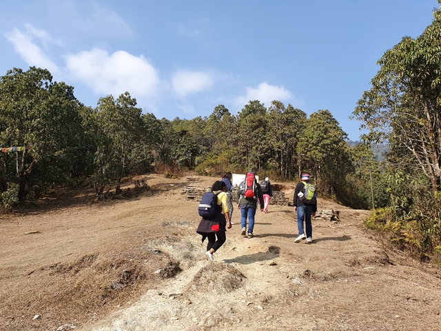       Group of hikers walking up a trail in a forested area.
  