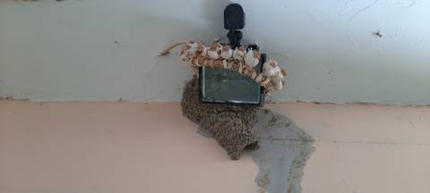       Wall with a nest and a device attached.
  