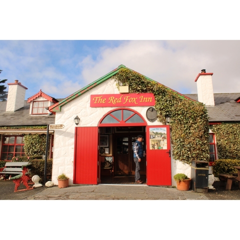 Person entering a traditional Irish inn with red doors.