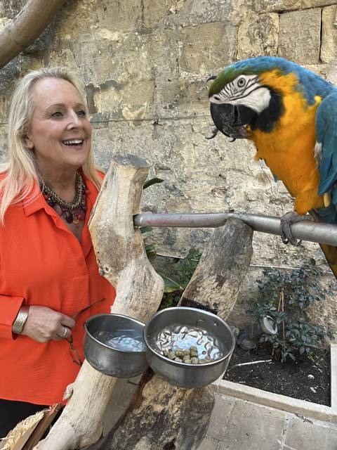 Person smiling beside a colorful parrot.
