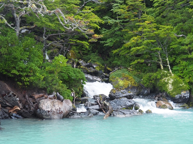       A cascading waterfall surrounded by lush green foliage.
  