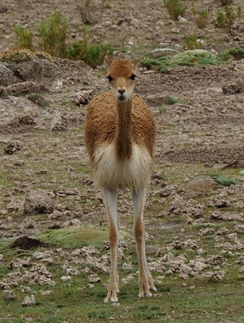       Photo d'avis client sur Argentine et Chili : L'incroyable Patagonie - 9 jours 
  