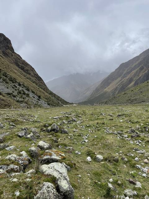 Misty mountain path with rocks and grass.