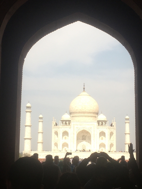       Softly focused framed view of the white marble dome and minarets of the Taj Mahal against pale sky
  