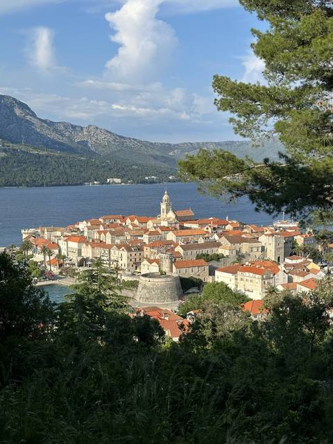 Aerial view of a coastal town with red-roofed buildings and the sea.