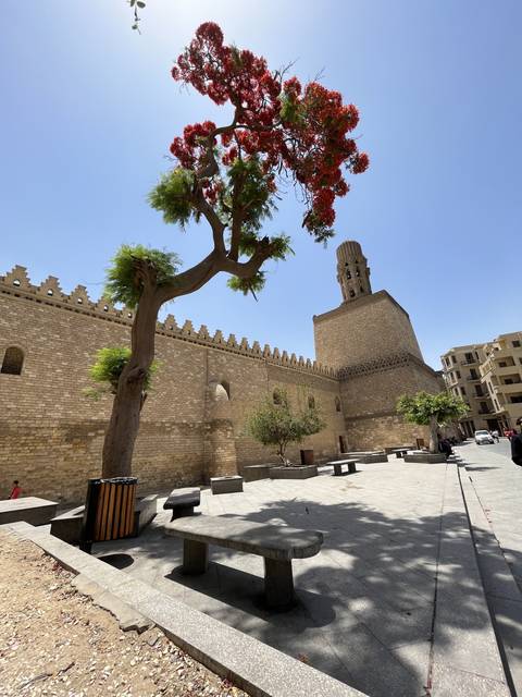 Historical building with a red flowering tree