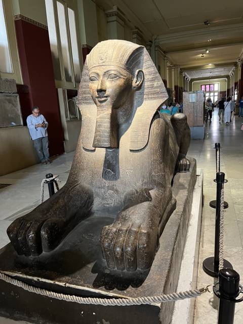 Sphinx statue in a museum setting