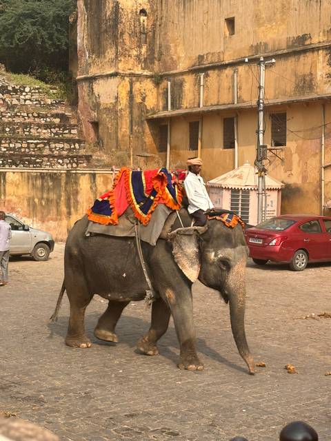       A decorated elephant being ridden in a town street.
  
