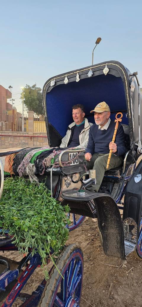 Two people in a horse carriage.