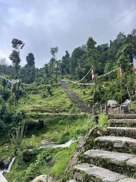      Green mountainside with steps and prayer flags.
  