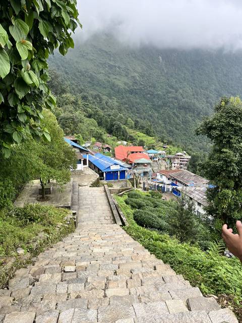       Stone steps leading to a village with trees around.
  