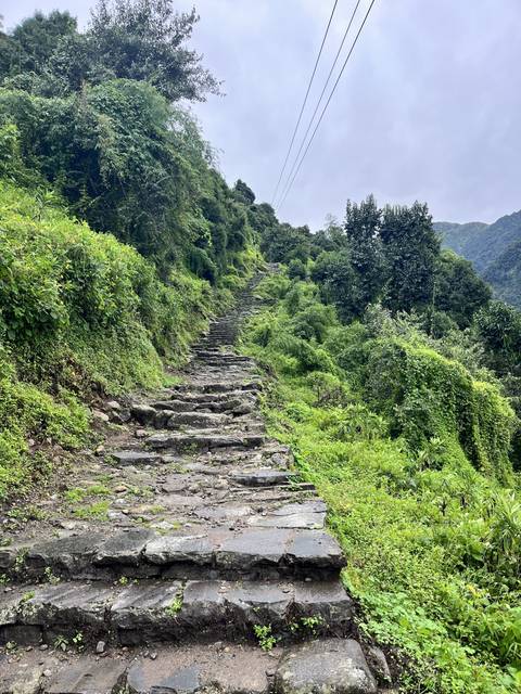       Wooded path with stone steps ascending a hill.
  