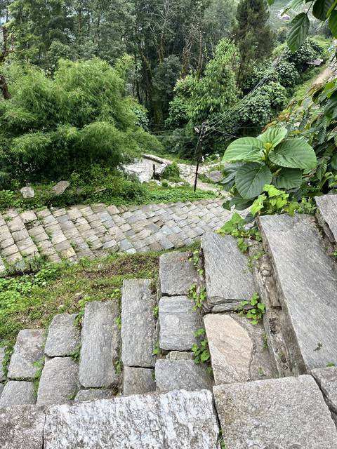       Stone steps among dense greenery on a hillside.
  