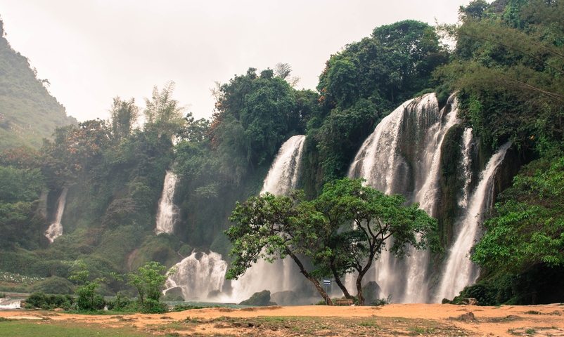       Beautiful cascading waterfalls with lush greenery.
  