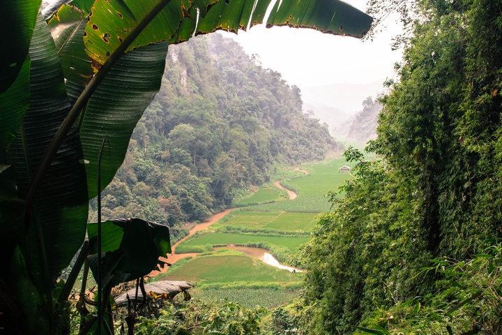       Banana leaves framing a valley with a winding river and green fields.
  