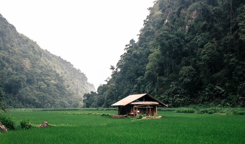       A small hut amidst green rice paddies surrounded by forested hills.
  