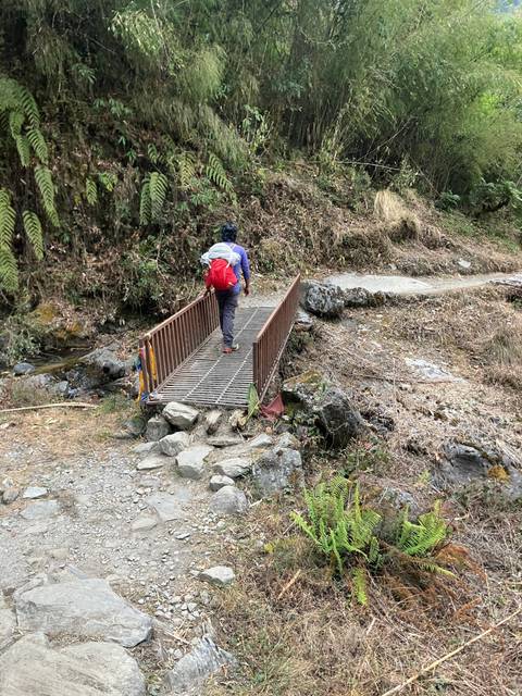       A person crossing a wooden bridge in a forest.
  