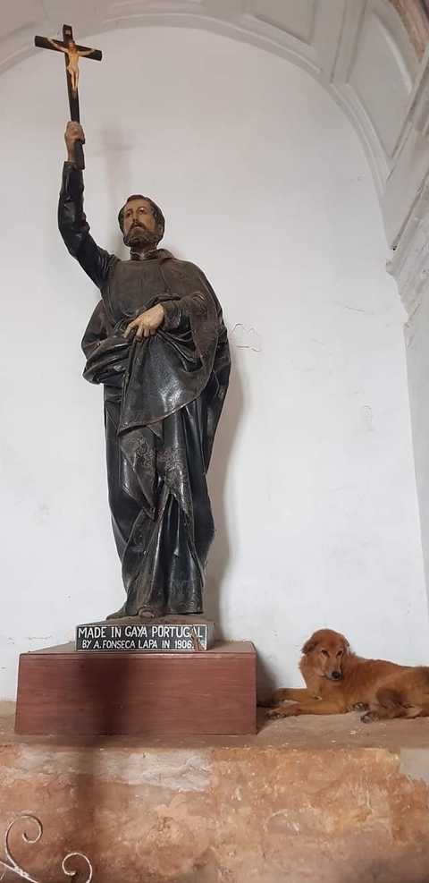       Photo d'avis client sur Fête des couleurs - Holi avec le Triangle d'or de l'Inde &amp; 2026 
  