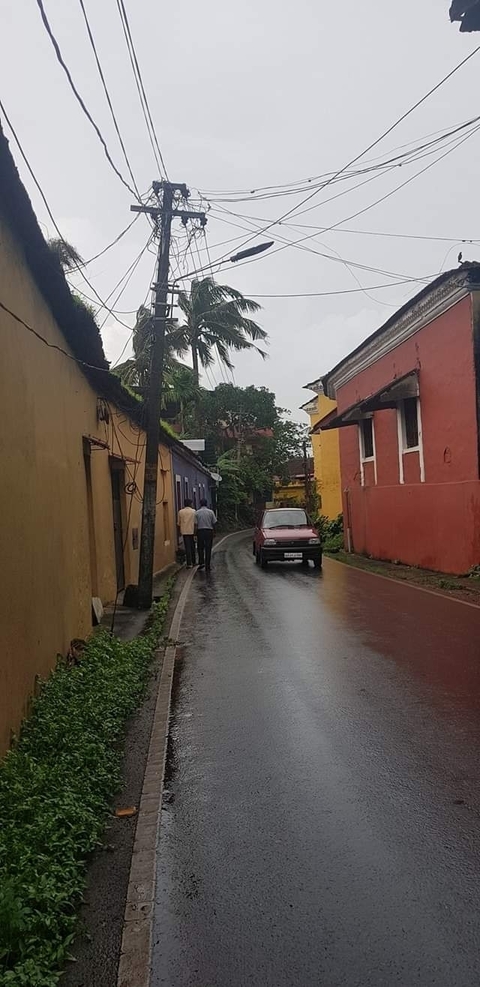       Photo d'avis client sur Fête des couleurs - Holi avec le Triangle d'or de l'Inde &amp; 2026 
  