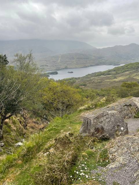 Lake view with mountains and greenery.