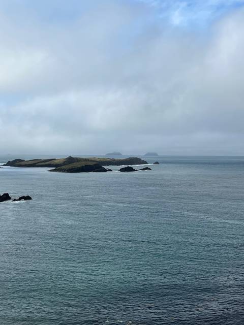 Rugged coastline with rock formations in the distance.