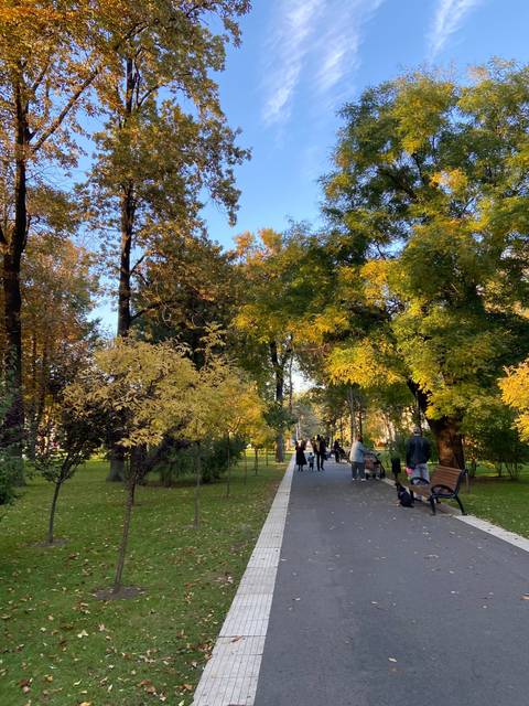       Park pathway with autumn trees.
  