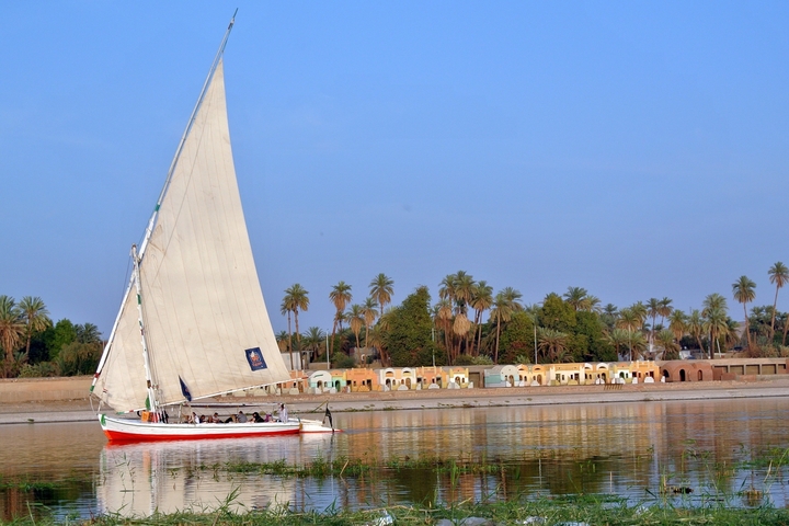 Sailboat on the Nile River with a scenic view of palm trees and colorful buildings.
