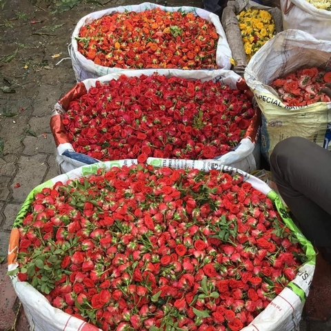       Two baskets filled with freshly picked red flowers.
  