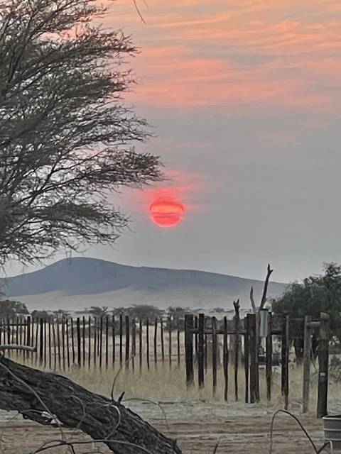 Vivid red sun setting over landscape with trees and fence.